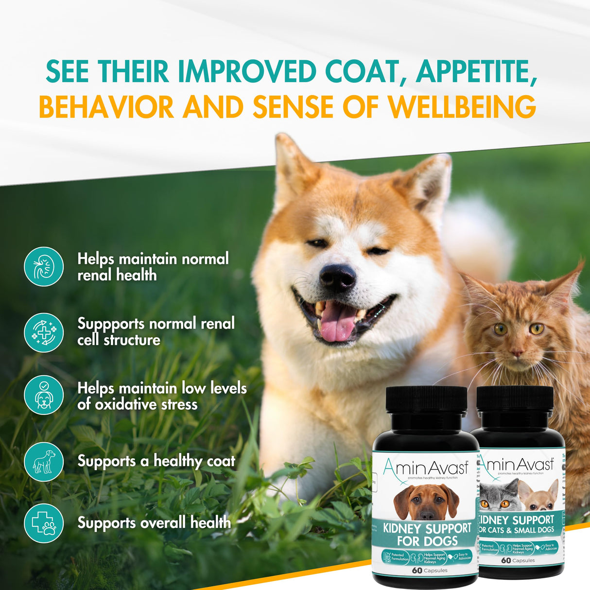 AminAvast Kidney Support Supplement for Cats and Small Dogs, 300mg 2-Pack - Promotes Natural Kidney Function - Aids in Health and Vitality of Aging Kidneys - Easily Administered - 60 Sprinkle Capsules