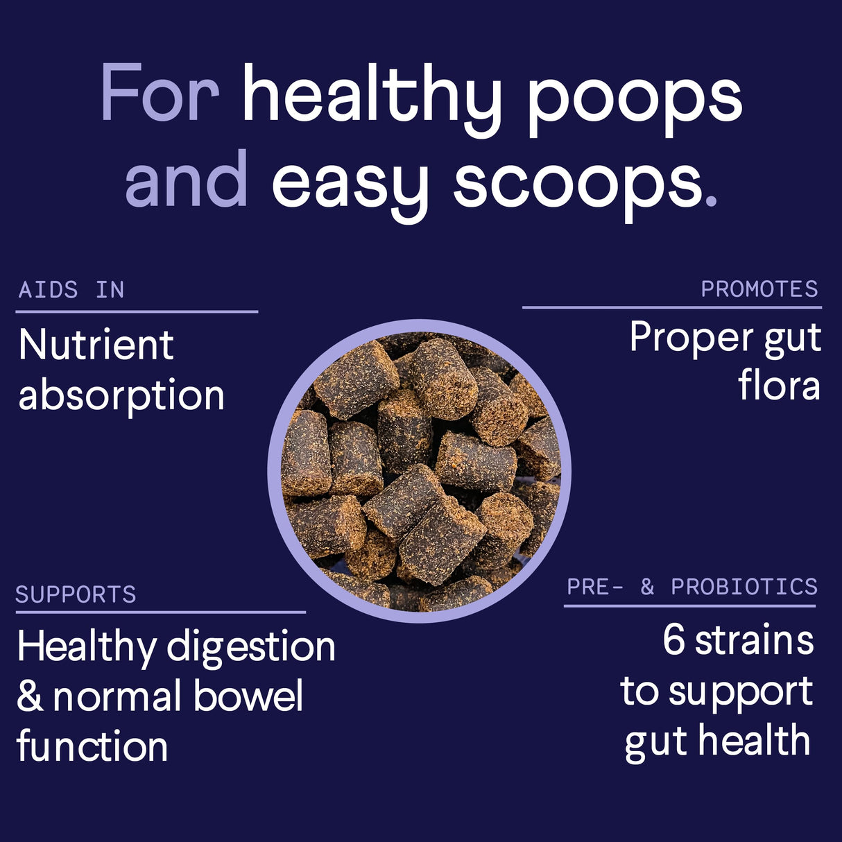 Finn Comfy Pup Bundle | Allergy & Itch + Digestive Probiotics