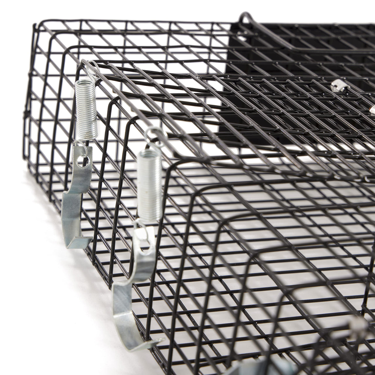 Rugged Ranch CHPTO Chipmunkinator Large Metal Wire Live Chipmunk Catch & Release Trap Cage w/Easy Open Top Lid & 2 Door System, Black (2 Pack)