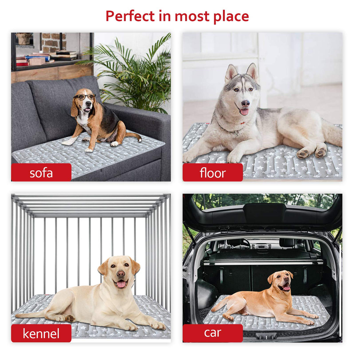 Dog Crate Mat (36" X 23") 2 Pack, Soft Dog Bed Mat with Cute Stars, Personalized Crate Pad, Anti-Slip Bottom, Machine Washable Kennel Pad, Grey