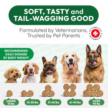 Load image into Gallery viewer, Petsology Glucosamine for Dogs - Hip and Joint Supplement for Dogs - 170 Mobility Chews - Glucosamine Chondroitin - MSM - Turmeric - Joint Pain Relief - Advanced Support for Dog Health - Made in USA