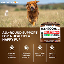 Load image into Gallery viewer, Turkey Tail Mushroom Supplement for Dogs - 170 Chews - Mushrooms for Dogs - Reishi, Lion’s Mane, Glucosamine Multivitamin - Immune Booster, Gut, Hip & Joint Health Support Vitamins, Energy & Skin