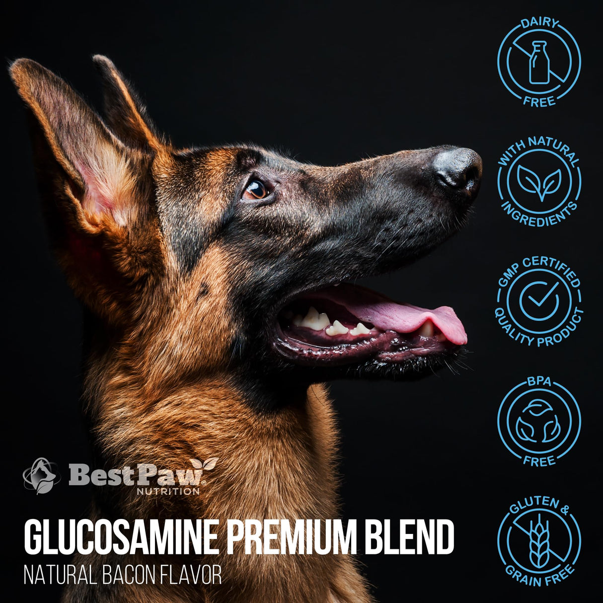 Best Paw Nutrition - Bacon Flavor Liquid Glucosamine for Dogs & Cats - Joint Supplement for Hip & Joint Pain Relief Pets Love - 32oz