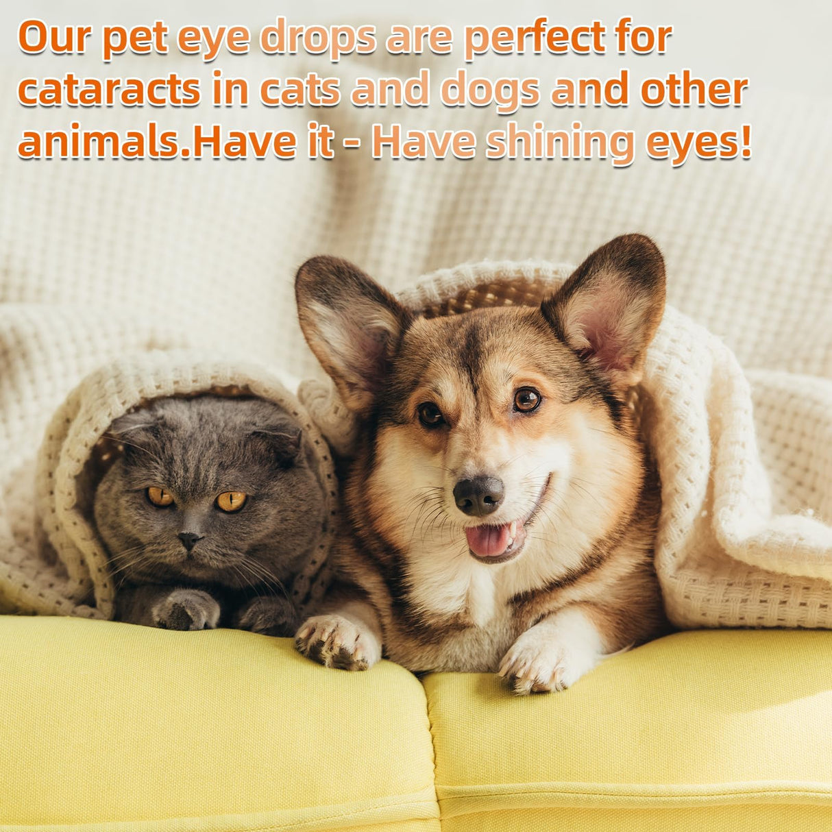 BrennenstuhlCataract Drops for Dogs - Pet Dog Eye Drops for Relieving Eye Itching and Clean Tear Stains - Removing Eye Stains - Improving Clarity - All Natural Pet Eye Health Care (2Pcs)