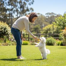 Load image into Gallery viewer, Fieldcrest Farms Nothin' to Hide Twist Stix, Beef Flavor, Easily Digestible, Supports Skin, Coat, Joints & Muscles, for Moderate Chewers Under 15lbs, 50 Pieces