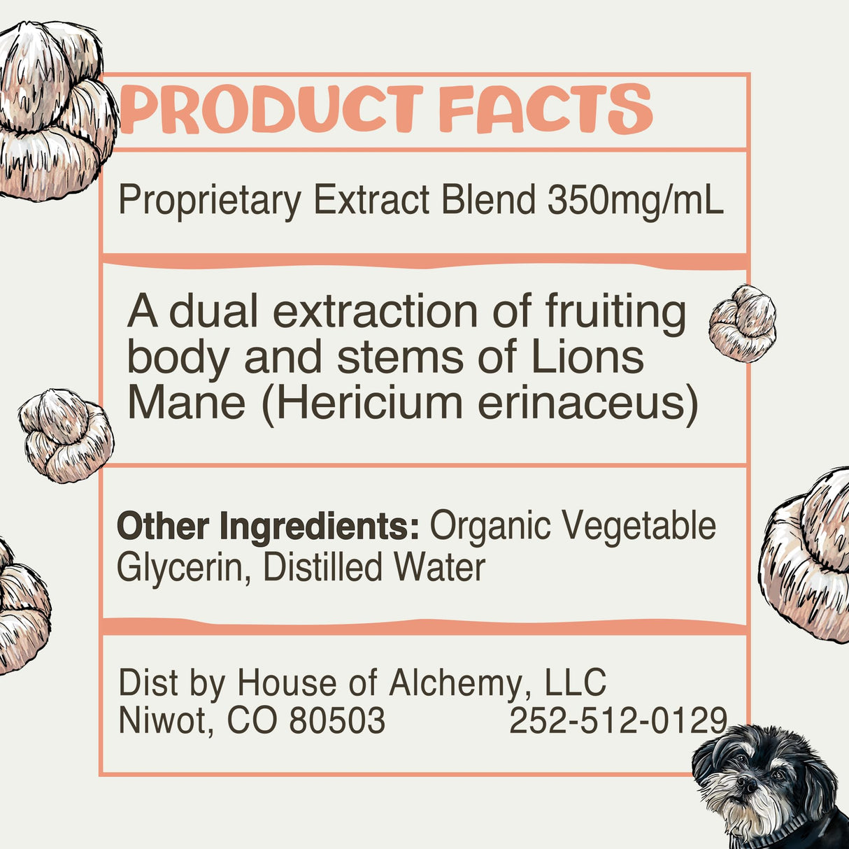 MycoDog Lions Mane Mushroom Supplement for Dogs - Cognitive & Brain Health - Lions Mane for Dogs - Senior Dog Wellness Drops