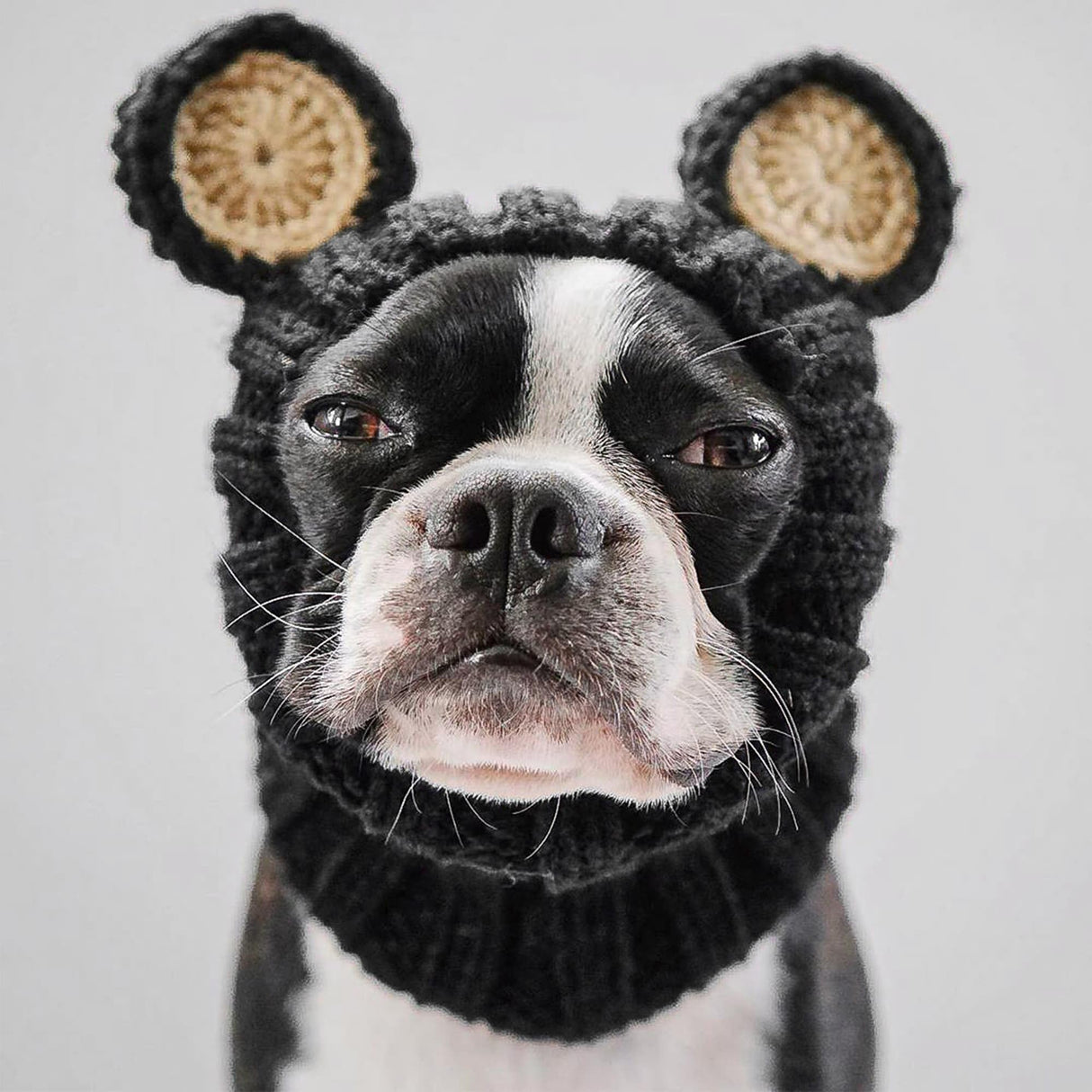 Zoo Snoods Black Bear Costume - Warm Knit Dog Snood Wrap for Pets, Neck Ear Cover Protection, Halloween Winter (Large)