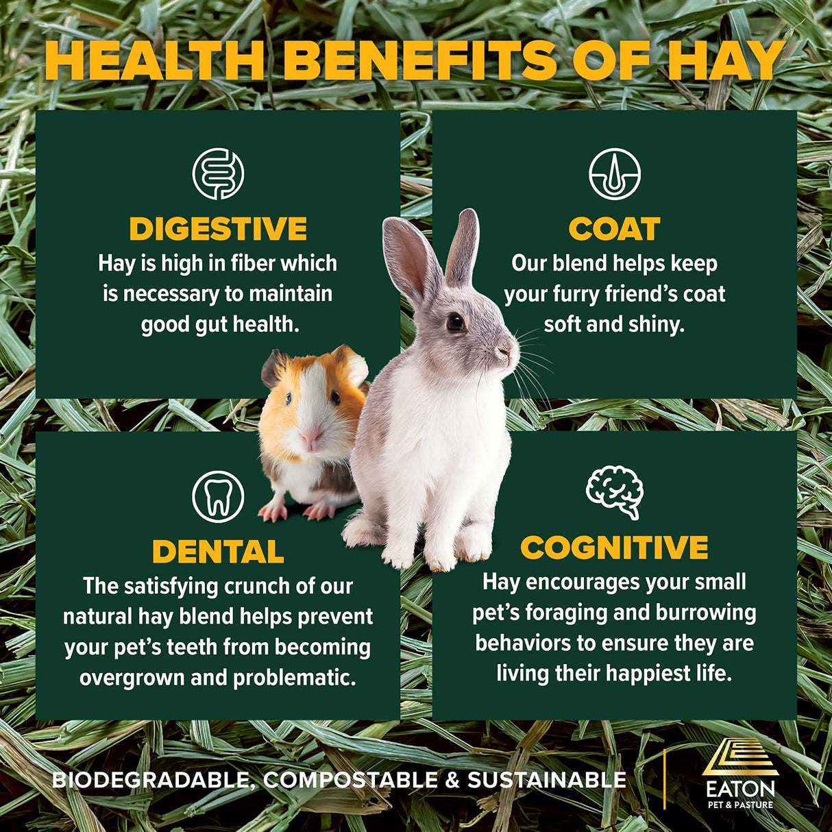 Eaton Pet and Pasture Naturally Grown, Premium, 1st Cut Blend, Western Timothy Hay Orchard Blend, Small Animal Food, Sustainable, Eco-Friendly, Farmer-Owned, 25LB-Box.