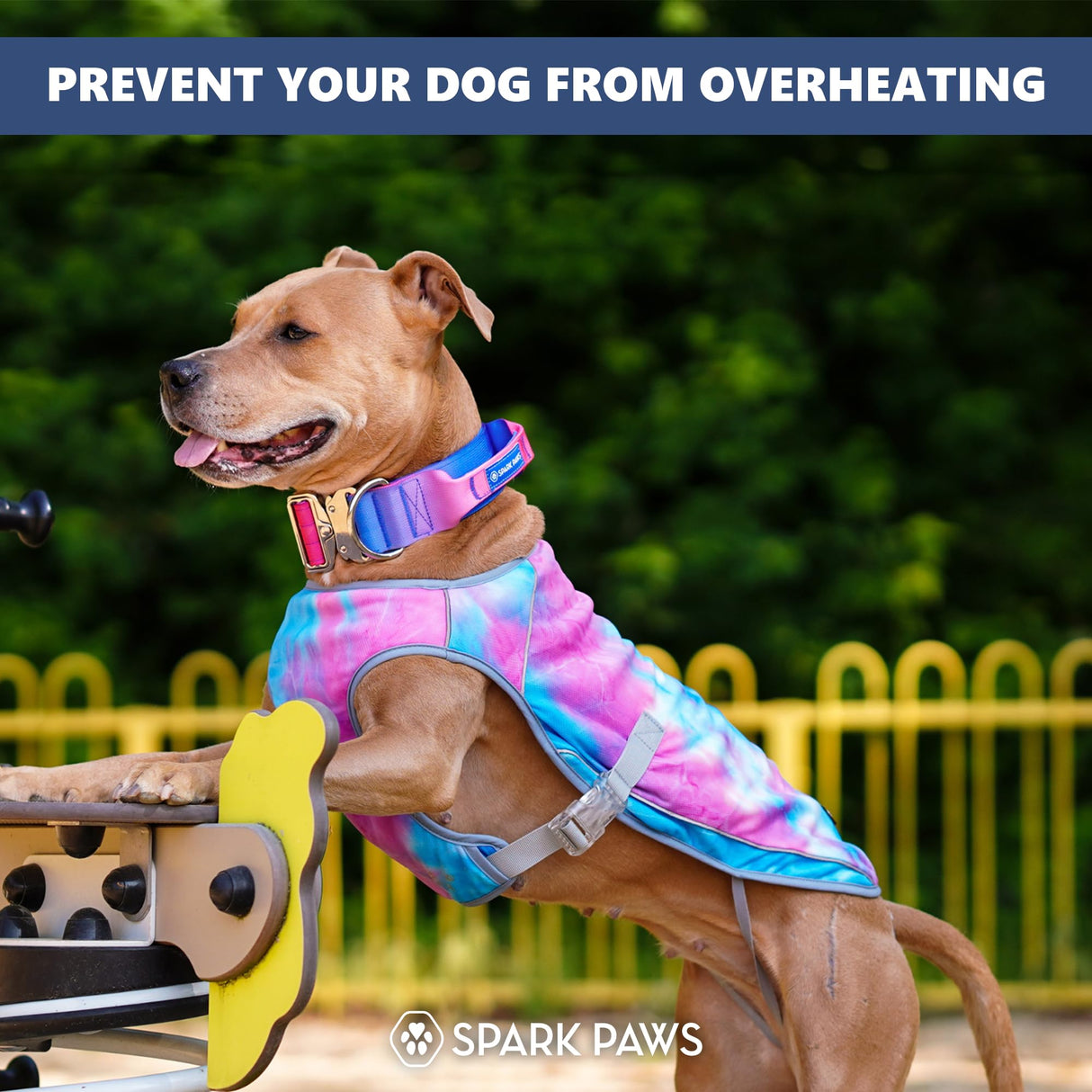 Spark Paws Dog Cooling Vest - SPF 50 UV Sun Protection - Summer Heat Relief Gear for Dogs, Lightweight, Evaporative Cooling - Dog Anxiety Relief Vest During Hot Days - Snowcone, Medium