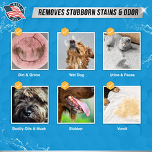 Load image into Gallery viewer, Pet Laundry Detergent Odor Remover - ACTIVE Enzyme Based Powder Detergent for Dogs Beds, Cat Pee, HE Washer Friendly Natural Enzymatic Deodorizer, Urine, Smell, Dog Drool, Stain Eliminator - 64 Loads