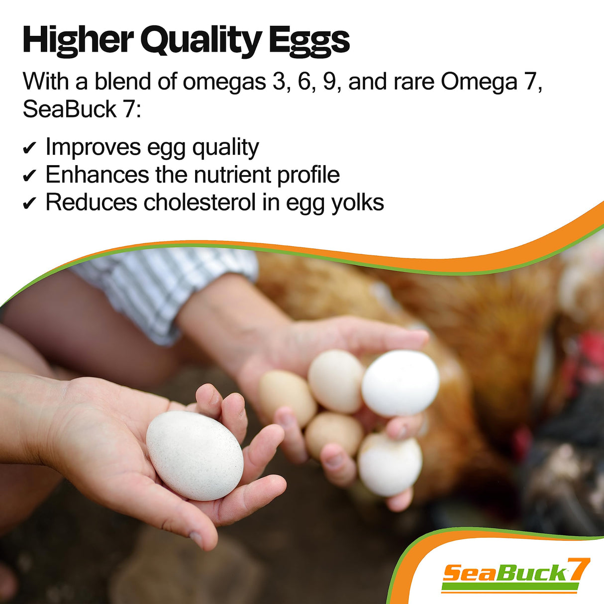 SEABUCK7 Chicken & Bird Supplement with Sea Buckthorn to Improve Egg Quality & Increase Egg Production (1-Month Supply for 20 Chickens)