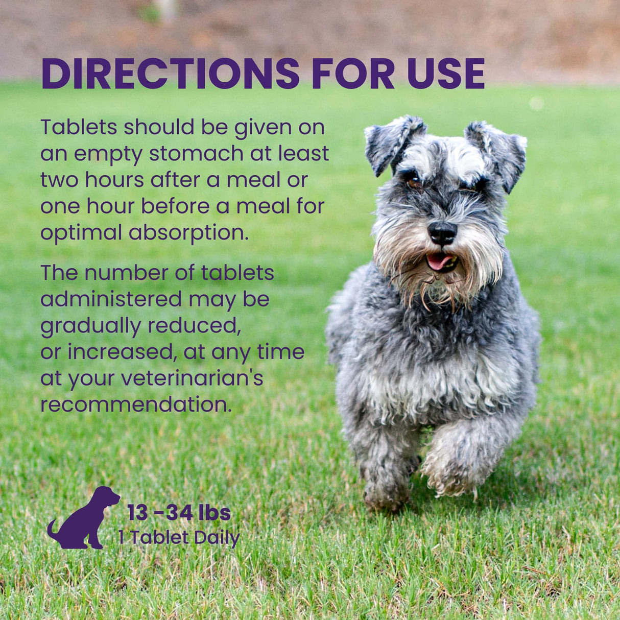 Nutramax Laboratories Denamarin Liver Health Supplement for Medium Dogs - With S-Adenosylmethionine (SAMe) and Silybin, 30 Tablets
