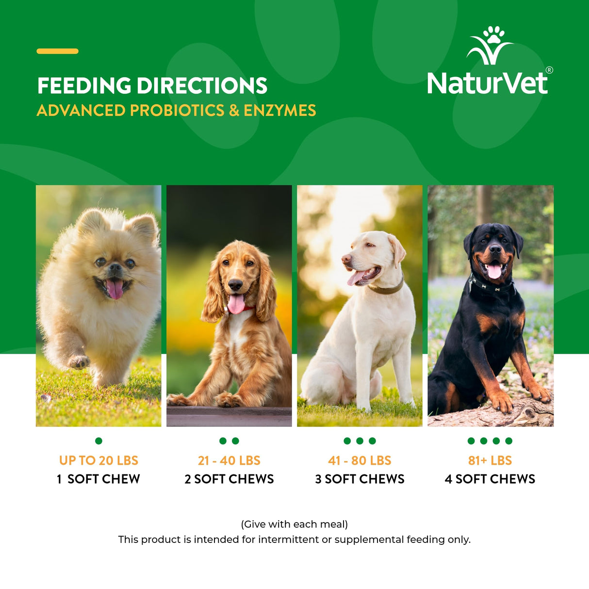 NaturVet Advanced Probiotics & Enzymes, PB6 Dog Soft Chews to Help Sensitive Stomachs and Digestive Issues, Hickory Smoked Bacon Flavored Pet Supplement for Dogs Over 6 Weeks, 70 Count Jar