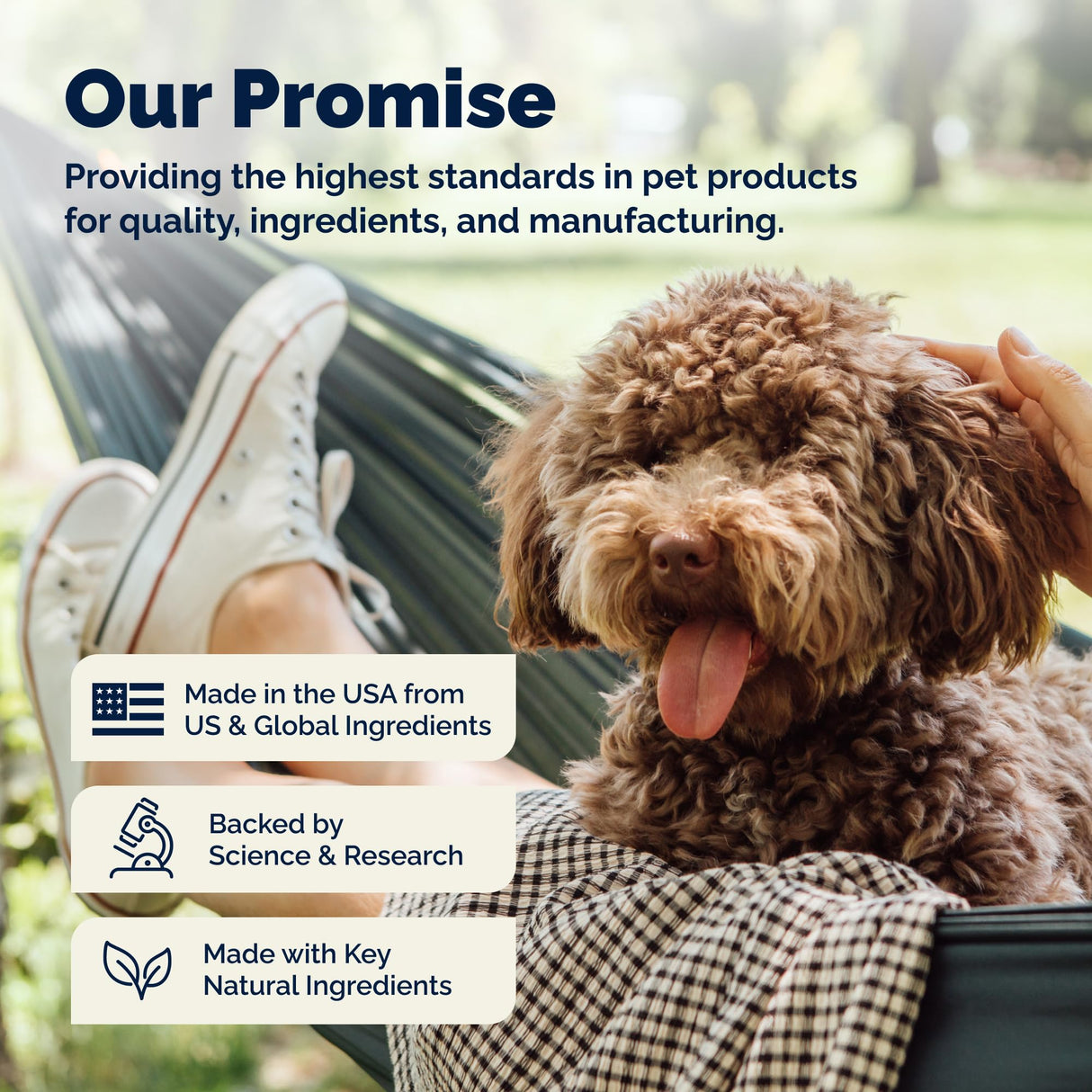 Vetnique Dermabliss Advanced Vet Strength Chlorhexidine for Dogs - Antibacterial Medicated Dog Shampoo - for Skin Infections & Irritation, Hot Spots & Redness Relief (Medicated Shampoo, 16oz)