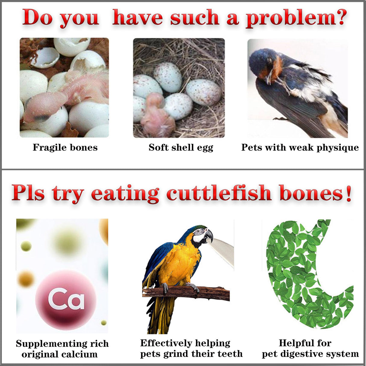 Clyairmao Bird Cuttlebone for Parakeets Cuttlebone for Birds - 100% Natural Cuttlefish Bone Bulk Chew Toy Bird Bites Calcium Stone for Canaries Tortoises,Snails,Reptiles,Parrots,Cockatiel