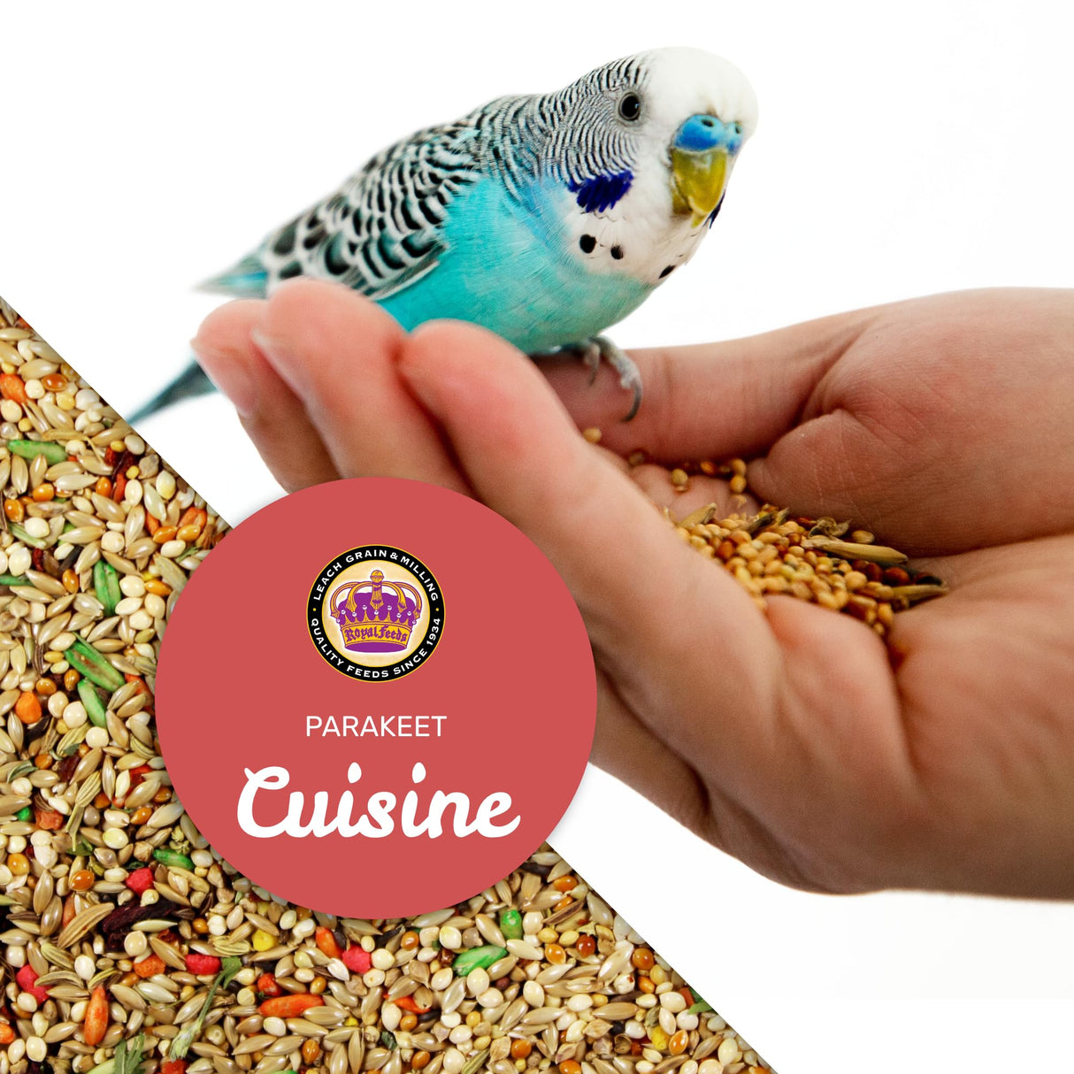 LEACH GRAIN & MILLING CO. Parakeet Cuisine Bird Food, 4 lb Bag Premium Parakeet Seed Mix with Grains, Millet, and Nutrients, Healthy Daily Diet for Parakeets, Budgies, Small Parrots & Pet Birds