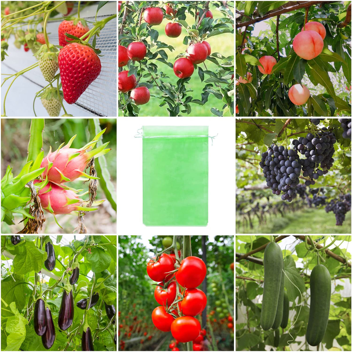 Toolifer 100 Pcs Fruit Protection Bags, 8''Γ12'' Vegetable Protection Bags Fruit Netting Bags with Drawstring, Fruit Tree Fruit Cover Bags Reusable Netting Bird Pest Barrier Bags for Garden Orchard