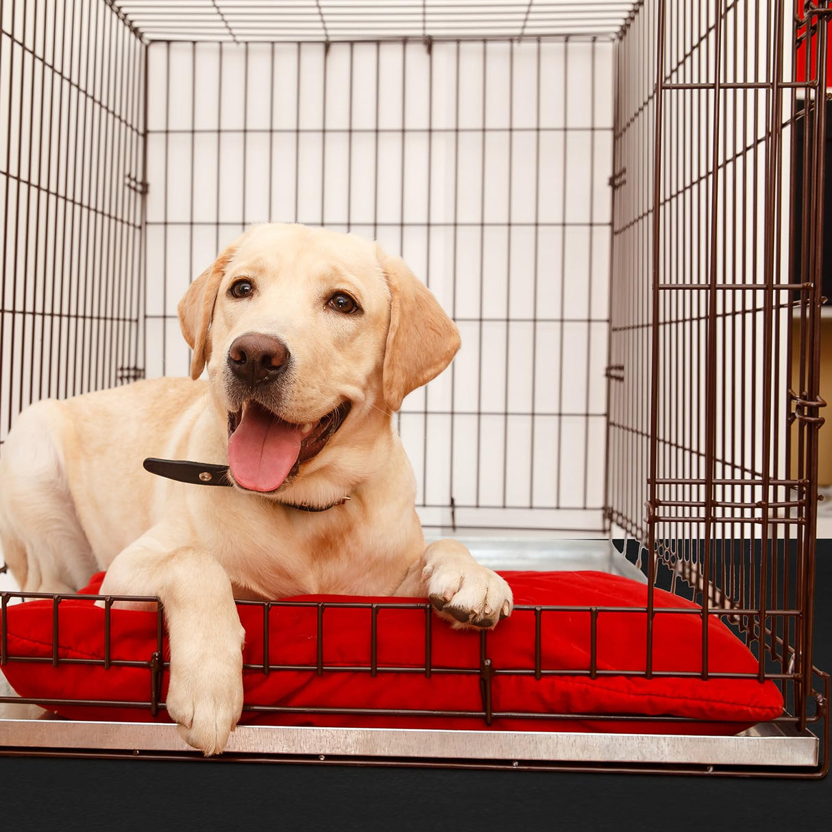 Drydiet PVC Pet Crate Floor Protection Mat 29" X 44" XXL Washable Floor Covering Reusable Waterproof Non Slip Rug Whelping Pad for Pet