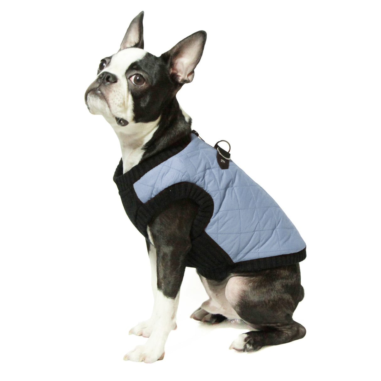 Gooby Fashion Vest Dog Jacket - Gray, Medium - Warm Zip Up Bomber Vest with Dual D Ring Leash - Winter Water Resistant Small Sweater - Clothes for Small or Medium Dogs
