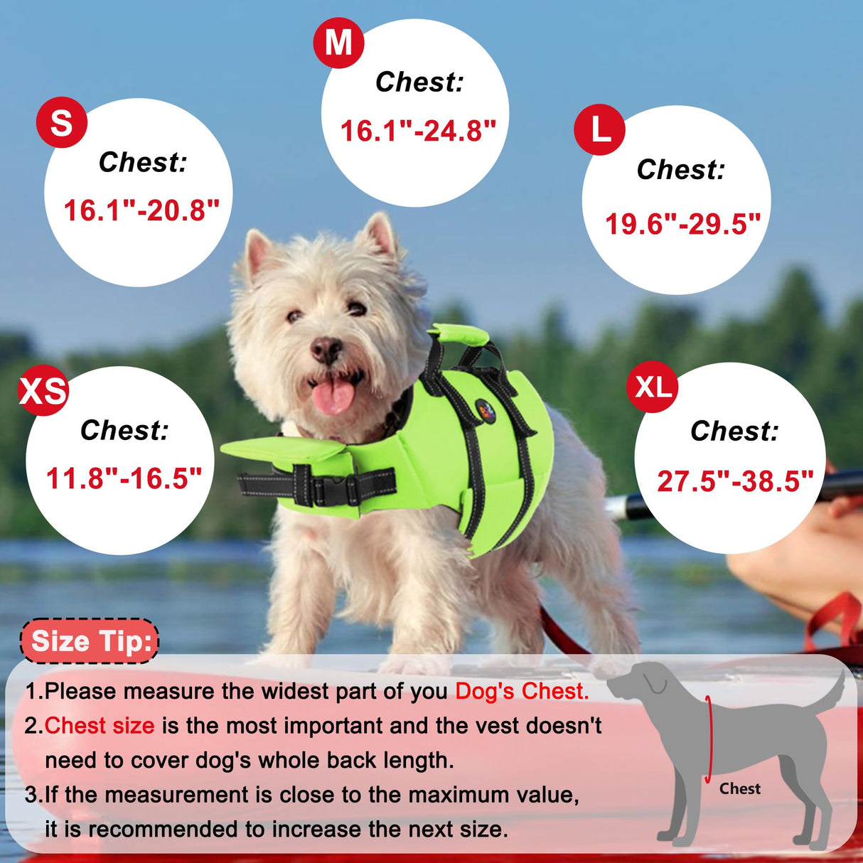 Dogcheer Dog Life Jacket with Back Zipper, High Buoyancy Puppy Swimming Vest, Dog Life Vest for Boating, Reflective Pet Floating Swim Vest PFD for Small Medium Large Dogs-Green,XL