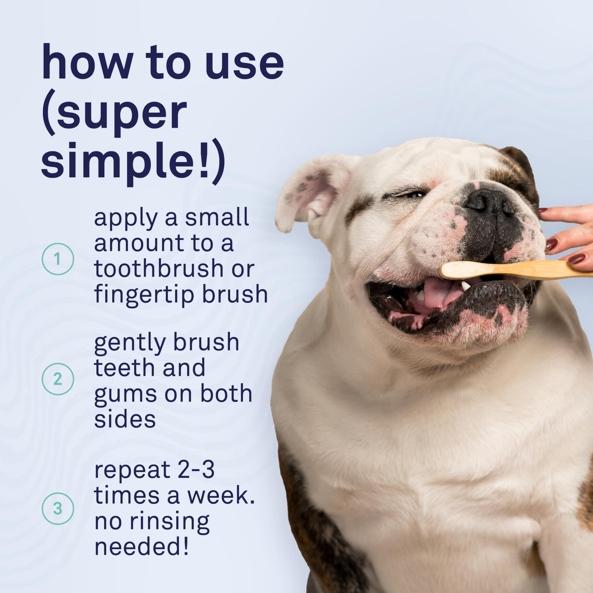 Petpost | Toothpaste for Dogs - Coconut Oil and Baking Soda Based Dental Gel That Naturally Eliminates Bad Breath - Dirt, Gunk, and Tooth Buildup Gone - Mint Flavor 4 oz.