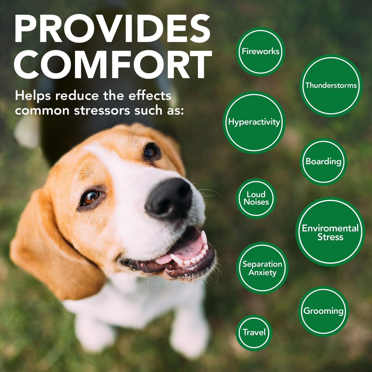 Vet's Best Comfort Calm Calming Soft Chews Dog Supplements - Dog Calming Aid Supports Dog's Balanced Behavior - Promotes Relaxation - 90 Day Supply