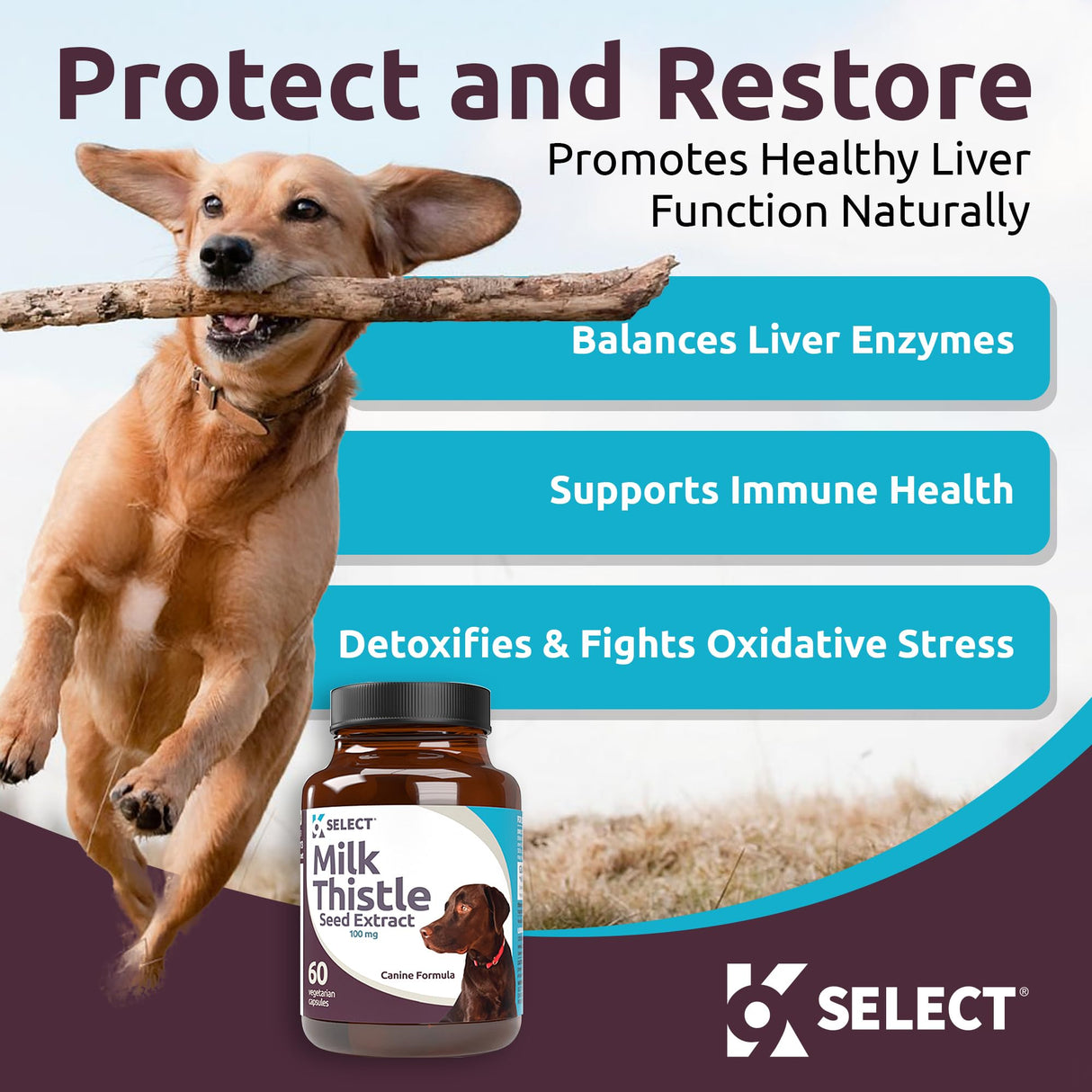 K9 Select Milk Thistle for Dogs, 100mg - 60 Vegetable Capsules - Canine Liver Health Milk Thistle Supplement - Milk Herbal