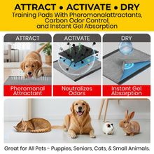 Load image into Gallery viewer, Glad for Pets JUMBOSIZE/XL Charcoal Puppy Pads, AllinOne Black Training Pads That ABSORB & Neutralize Urine Instantly New & Improved Quality, 50 Count (Pack of 1)
