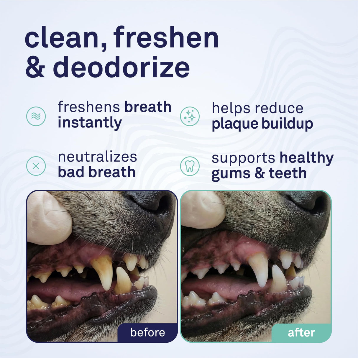 Petpost | Toothpaste for Dogs - Coconut Oil and Baking Soda Based Dental Gel That Naturally Eliminates Bad Breath - Dirt, Gunk, and Tooth Buildup Gone - Mint Flavor 4 oz.