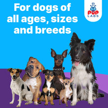 Load image into Gallery viewer, Freedom Joint Drops for Dogs with Hyaluronic Acid, MSM, Glucosamine, & Chondroitin, All Natural Liquid Joint Supplement for Dogs for Pain Relief, Mobility and Hip Support, 30 ml Dropper