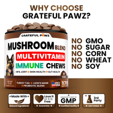Load image into Gallery viewer, Turkey Tail Mushroom Supplement for Dogs - 170 Chews - Mushrooms for Dogs - Reishi, Lion’s Mane, Glucosamine Multivitamin - Immune Booster, Gut, Hip & Joint Health Support Vitamins, Energy & Skin