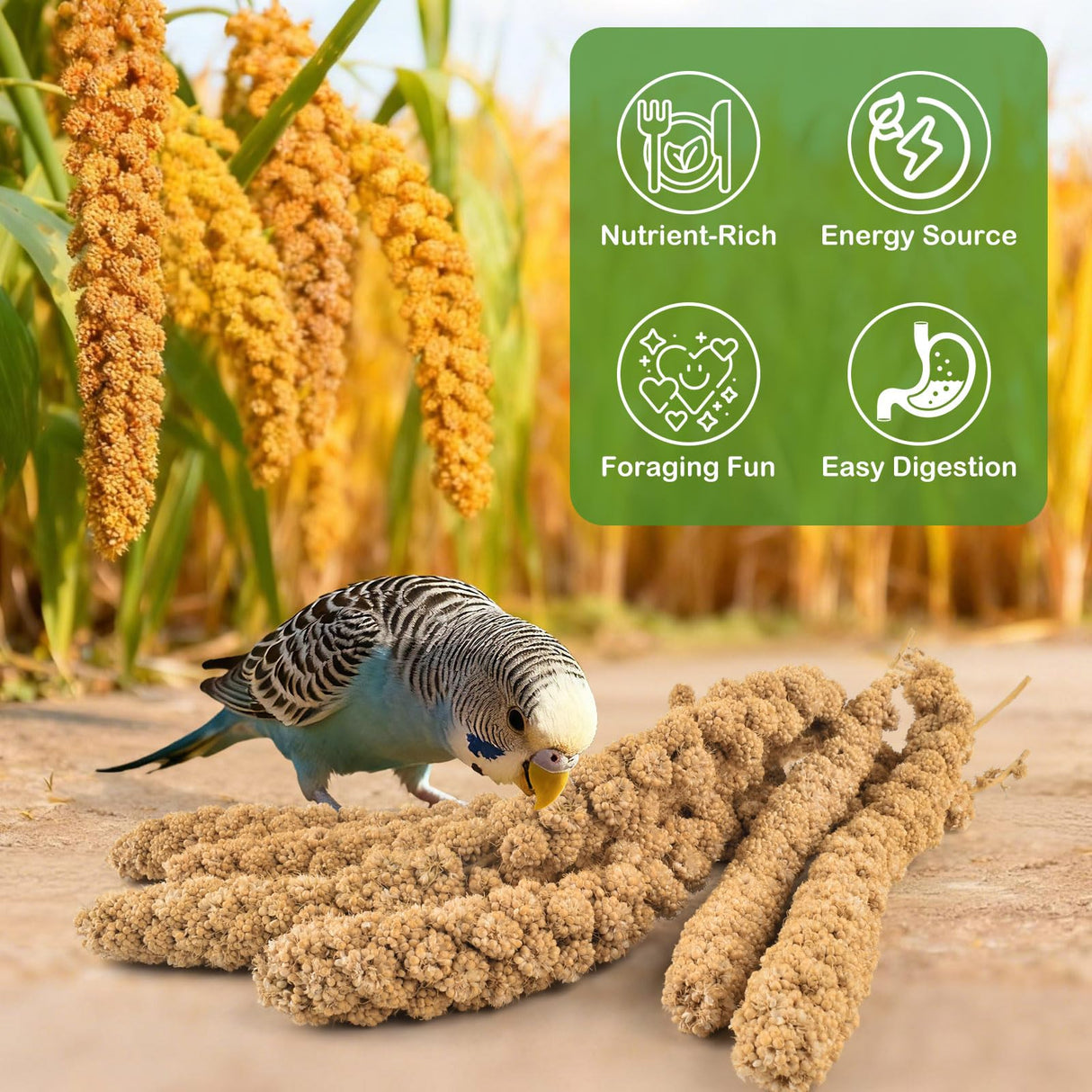 ERKOON 2.5LB Spray Millet Treat, All Natural Sun-Dried Healthy Treat Parrot Food Bird Snack for Parakeets, Lovebirds, Cockatiels, Finches, Budgies, Canaries Hamster, Bird Food Bulk