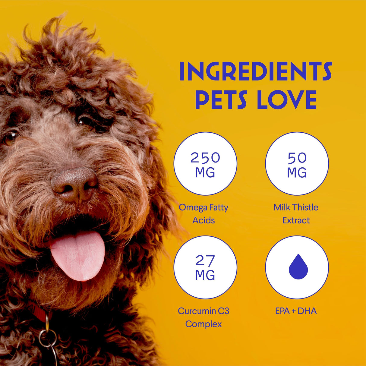Wonder Paws Milk Thistle, Liver Support for Dogs, Supports Kidney Function for Pets, Detox, Hepatic Support, with Wild Alaskan Salmon Oil & Curcumin, Omega 3 EPA & DHA (2 Oz)