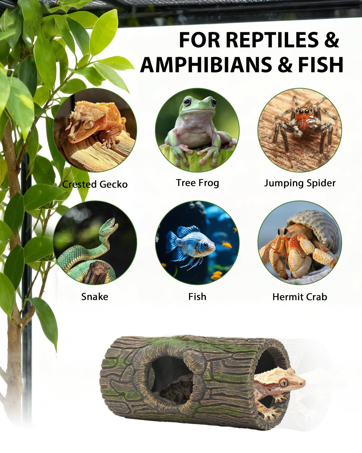 Magnetic Crested Gecko Hide - Resin Hollow Log Cave, Reptile Hide Cave, Reptile & Amphibian Habitat Hideouts, Aquariums & Terrariums Decor