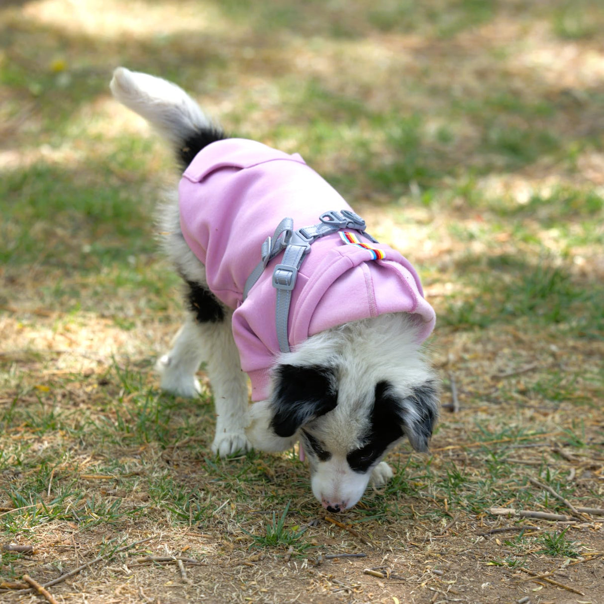 Furmate Dog Hoodies with Hurns Built in, Dog Sweatshirt for Small, Medium, and Large Dogs, Warm Sweaters for French Bulldogs, Pitbull, Puppy, Winter Jacket Alternative - Pink - L