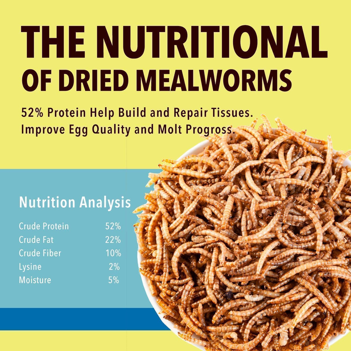 WormsFarm 5lb Dried Mealworms for Chickens Treats for Laying hens,Bluebirds,Quail,Chicken Food