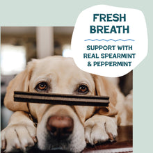 Load image into Gallery viewer, Shameless Pets Dental Chews for Dogs, Variety (4-Pack) - Natural Dog Teeth Cleaning Treats with Fresh Breath Benefits | Grain-Free Dental Sticks for Small, Medium & Large Dogs