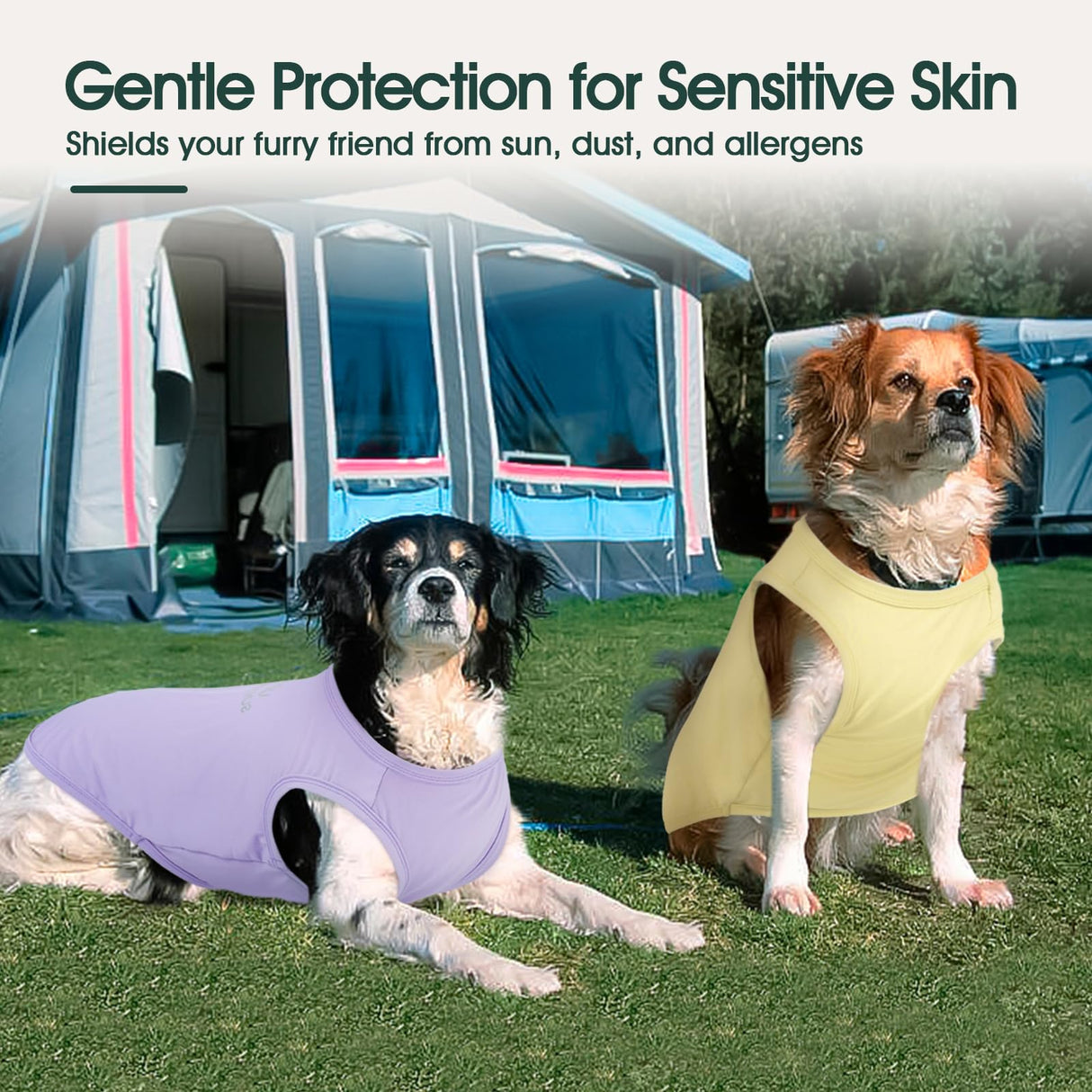 Kuoser 2 Pack Dog Shirts UPF 50+ UV Sun Protection, Lightweight Quick Dry Dog T Shirts for Small Medium Large Dogs, Breathable Pet Vest Dogs Tshirt Pet Clothes for Indoor Outdoor, Purple & Yellow S