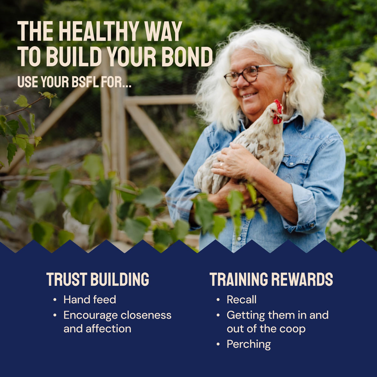 Hatortempt Black Soldier Fly Larvae - Calcium-Rich Chicken Feed Supplement - Treats for Laying Hens - Grubs for Chickens Training Rewards (10lb)