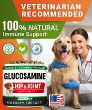 Load image into Gallery viewer, Glucosamine Treats for Dogs - Joint Supplement w/Omega-3 Fish Oil - Chondroitin, MSM - Advanced Mobility Chews - Joint Pain Relief - Hip & Joint Care - Chicken Flavor - 120 Ct - Made in USA