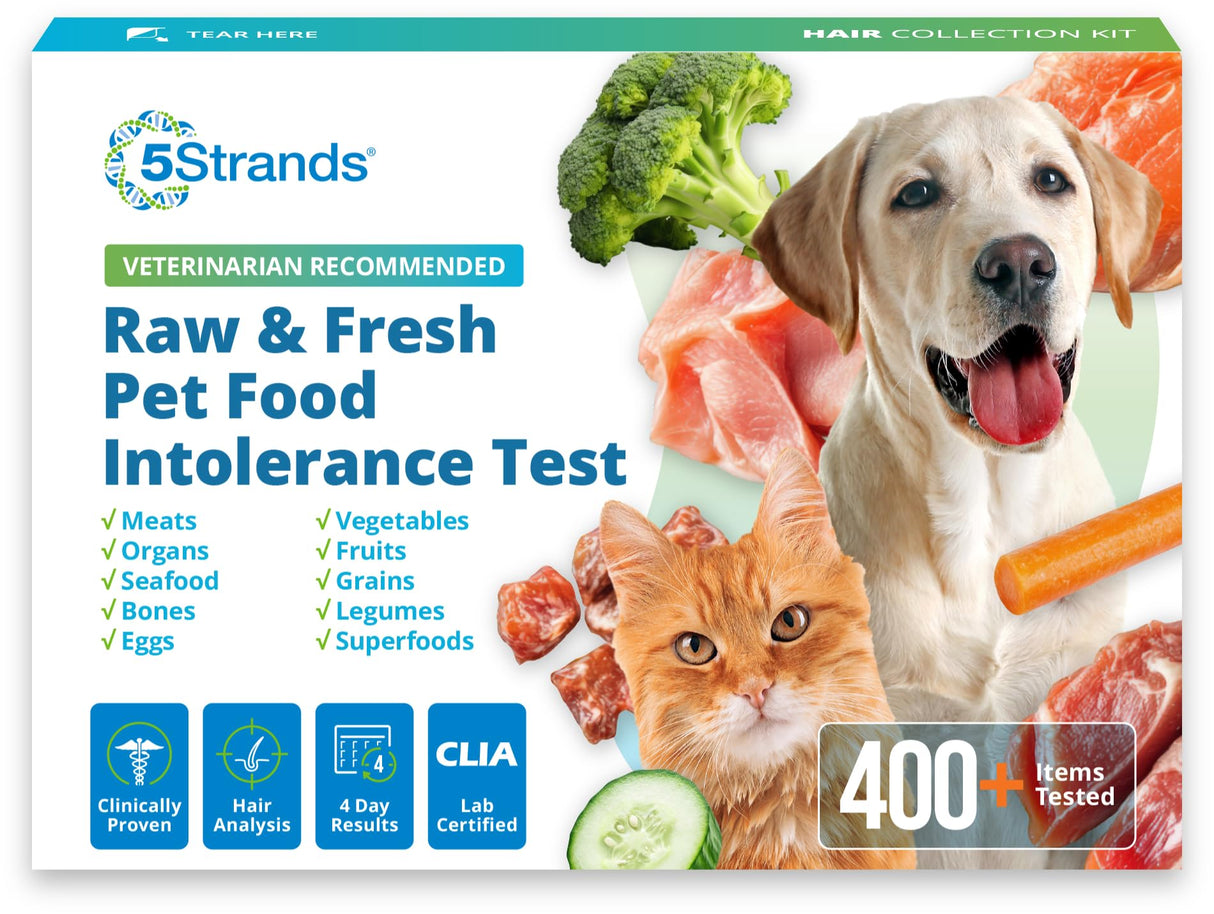 5Strands Raw & Fresh Pet Food Intolerance Test, at Home Gut Health Test for Dogs & Cats, 400+ Raw & Gently Cooked Fresh Food Items Tested, Accurate for All Ages & Breeds, Fast 4 Day Results