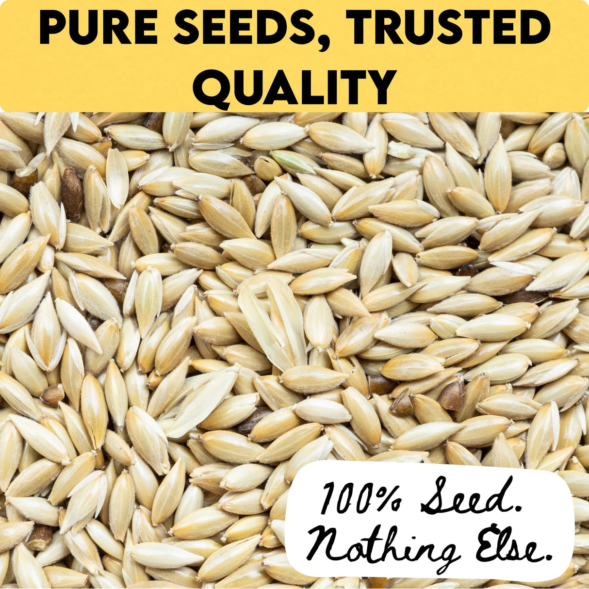 Unida Alpiste Canary Seed | 100% Pure, Natural & Non-GMO Bird Food for Canaries, Finches, Budgies & Parakeets | Double Cleaned Bird Seed, 5 lbs