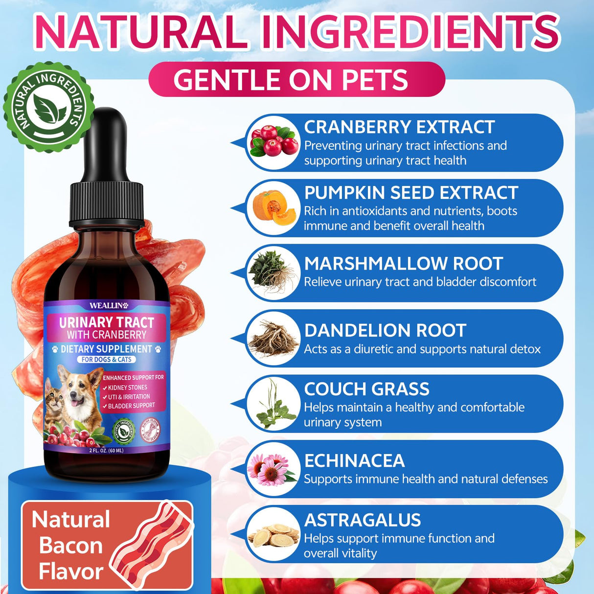 WEALLIN Cat & Dog Natural Urinary Tract Infection Treatment with Cranberry, Kidney, and Bladder Support Supplement, Support for Urinary Comfort & Bladder Flow – Pet Renal Care Support Drops
