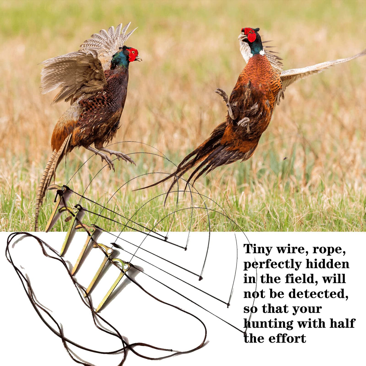 Professional Bird Trap for Chicken, Pheasant,Wild Duck, Partridge Mallard and Other Medium-Sized Birds Tying Birds' feet Won't Hurt Them