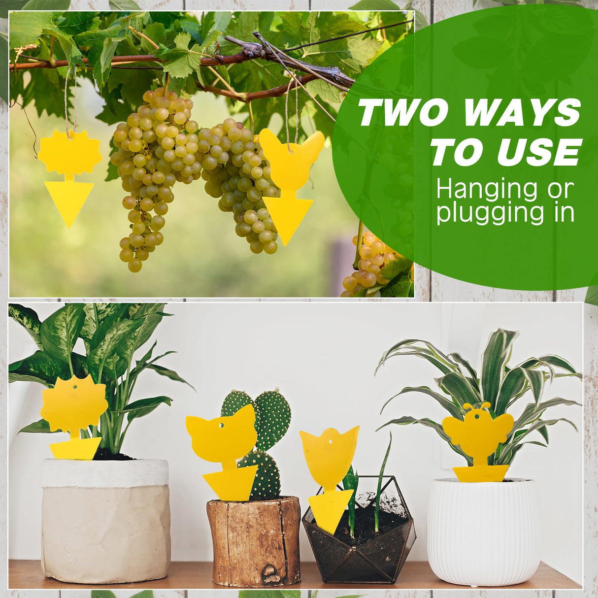 Qualirey 200 Pcs Fruit Fly Traps Fungus Gnat Killer Bug Mosquito Trap Fruit Fly Killer Double Side Sticky Traps Plant Trap Insect Catcher Killer for Indoor Outdoor House Kitchen (Yellow,Exquisite)