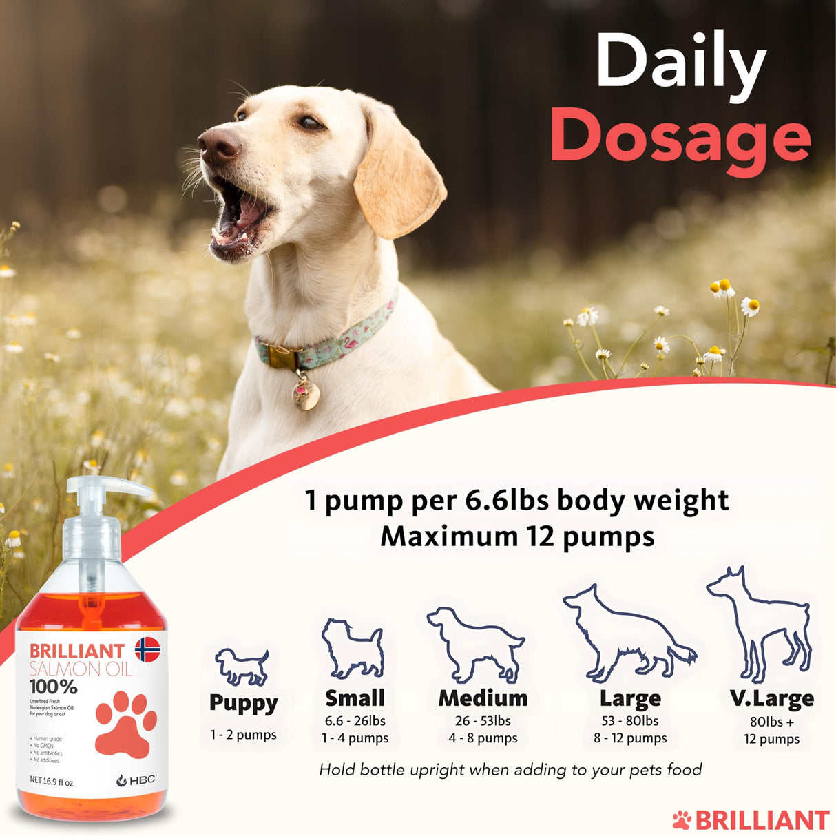 Salmon Oil for Dogs - Healthy Skin & Coat, Natural Norwegian Omega 3 Fish Oil Food Supplement, EPA & DHA Fatty Acids, Ideal for Shedding, Allergy, Itching, Dry Skin, Joint & Bone Health - (2 x 16.9oz)