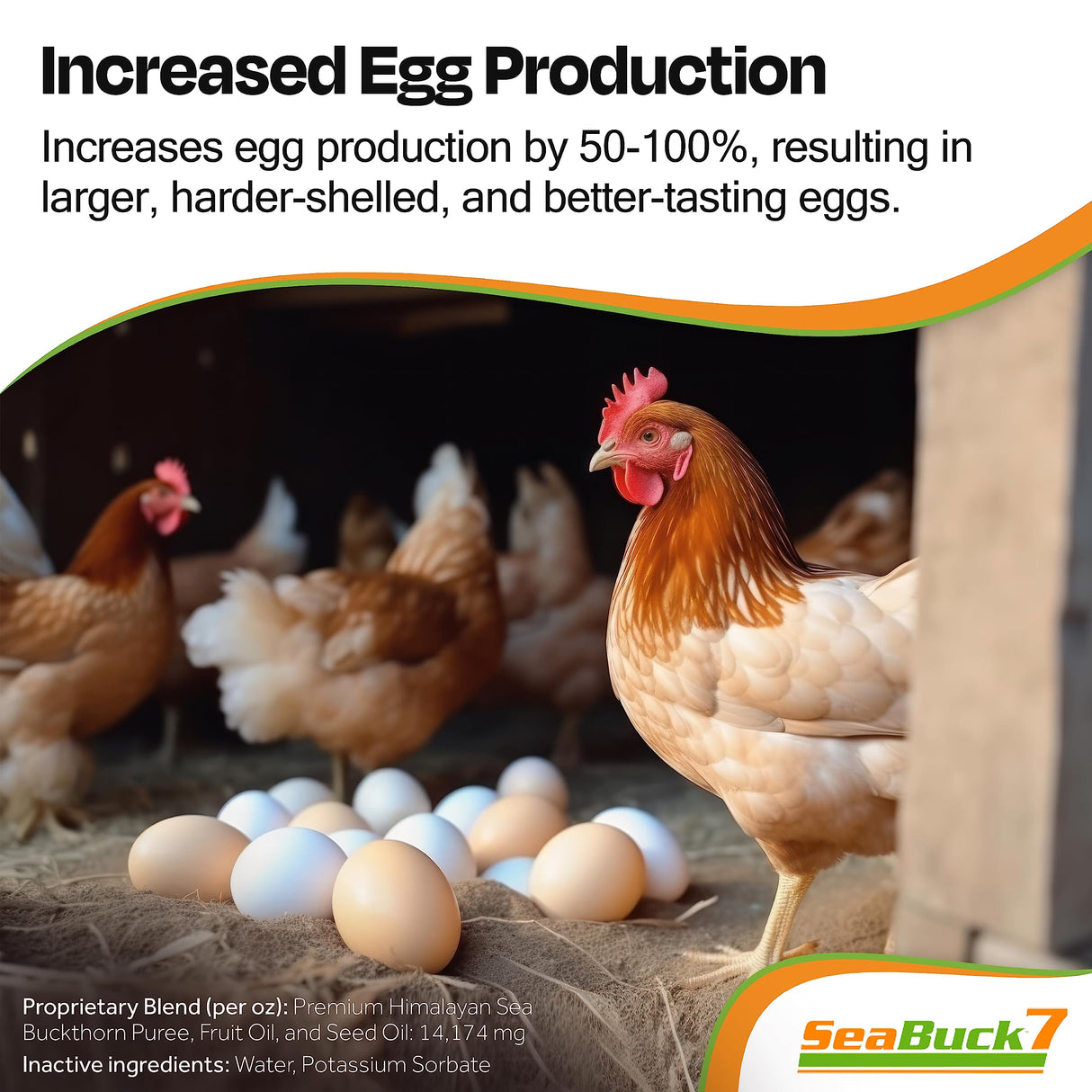 SEABUCK7 Chicken & Bird Supplement with Sea Buckthorn to Improve Egg Quality & Increase Egg Production (1-Month Supply for 20 Chickens)