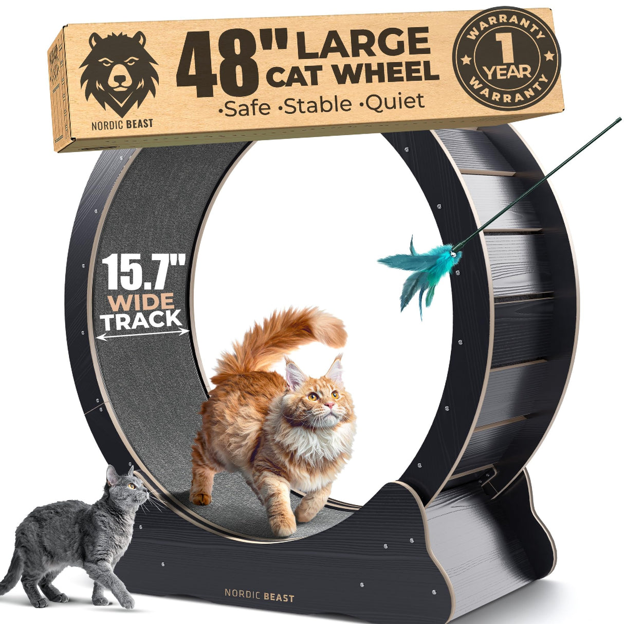Nordic Beast 48'' XL Cat Wheel β Safe, Quiet & Stable Exercise Wheel for Large Indoor Cats up to 45 lbs β 15.7'' Extra-Wide Surface Fits 2 Cats Side by Side & Prevents Wobbling, 1-Year Warranty