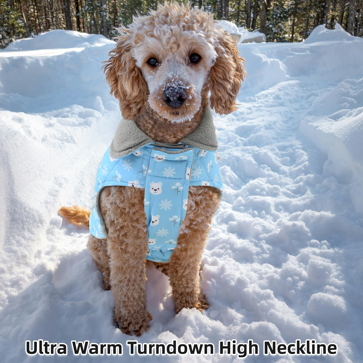 Mile High Life Dog Warm Coat, Small Dog Winter Jacket Windproof Water Resistant Cold Weather Coats Cozy Snow Jacket Vest for Puppies (Blue, X-Small Chest 11.8")