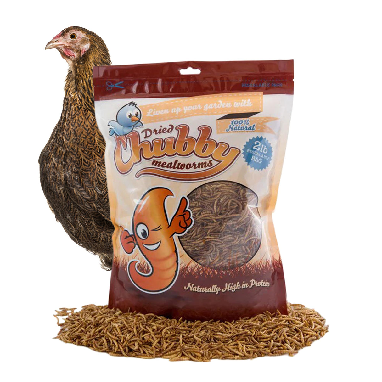 Chubby Dried Mealworms | 2 lbs | High-Protein Non-GMO Treats for Chickens, Ducks, Wild Birds & Backyard Pets